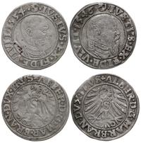 Prusy Książęce 1525-1657, zestaw 2 groszy