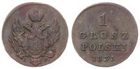 Polska, 1 grosz polski, 1835 IP