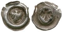 brakteat 1391-1415, na ostrołukowej tarczy orzeł