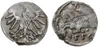 denar 1556, Wilno, szerszy ogon orła, Ivanauskas