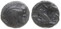 Grecja i posthellenistyczne, brąz, ok. 320-300 pne