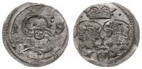 denar 1619, Kraków, bardzo rzadki, H-Cz. 7484 (R