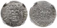 półtorak 1619, Królewiec, piękna moneta w pudełk