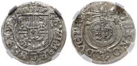 półtorak 1624, Królewiec, bardzo ładna moneta w 