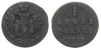 1 grosz 1819 / IB, Warszawa