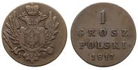 1 grosz 1817 / IB, Warszawa