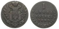 1 grosz z miedzi krajowej 1825, Warszawa