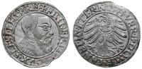 grosz 1543, Legnica, moneta z końcówki blaszki, 