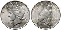dolar 1923, Filadelfia, typ Peace, srebro próby 