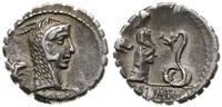 denar serratus 64 pne, Rzym, Aw: Głowa Juno Sosp