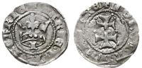 denar od 1384, Aw: Korona, pod nią litera I, MAR