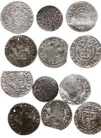 zestaw 6 monet, 3 półtoraki bydgoskie (1622, 162