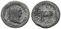 Cesarstwo Rzymskie, denar - FALSYFIKAT z epoki, 80