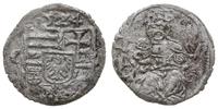 denar 1524 L-W, Wrocław, Aw: Tarcza herbowa i na