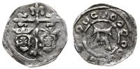 denar 1250-1325, Aw: Krzyż, pod nim w polach dwi