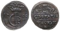 szeląg 1666, Toruń, CNCT 1719, Kop. 8309 (R1)