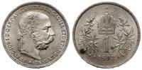1 korona 1893, Wiedeń, Herinek 786