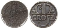 1 grosz 1928, Warszawa, moneta w pudełku PCGS nr
