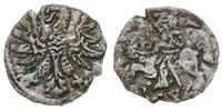 denar 1546, Wilno, bardzo rzadki, Cesnulis-Ivana