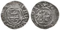 ternar 1393-1394, Kraków, litera W nad tarczą, l