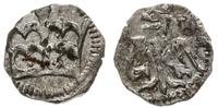 denar 1389-1434, Kraków, srebro 0.33 g, piękny, 