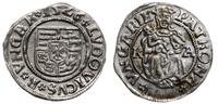 denar 1526, Kremnica, Aw: Tarcza herbowa i napis