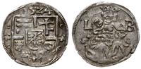 denar 1524, Buda, Aw: Tarcza herbowa, z boków pi