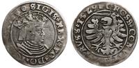 grosz 1529, Toruń, w legendzie awersu SIGIS REX,