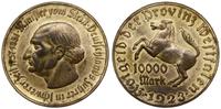 10.000 marek 1923, tombak złocony, 44.6 mm, bard