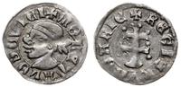 denar 1358-1371, Aw: Głowa Saracena w lewo, MONE