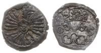 denar 1605, Poznań, skrócona data 0-5, Kop. 7956