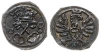 denar 1608, Poznań, skrócona data 0-8, rzadki ro