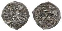denar 1609, Poznań, skrócona data 0-9, Kop. 7960