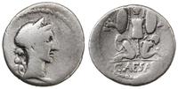 denar 46-45 pne, Rzym, Aw: Popiersie Wenus w pra