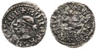 denar 1358-1371, Aw: Głowa Saracena w lewo, + MO