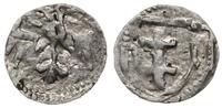 denar 1386-1389, Wschowa, Aw: Orzeł heraldyczny 
