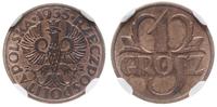 1 grosz 1935, Warszawa, moneta w pudełku NGC nr 
