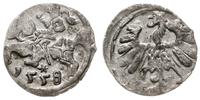 denar 1558, Wilno, wyraźny blask menniczy, bardz