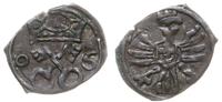 denar 1606, Poznań, skrócona data 06, ciemna pat