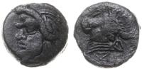 brąz 325-310 pne, Aw: Głowa satyra w lewo; Rw: G