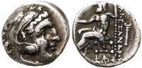 Grecja i posthellenistyczne, drachma, ok 310-301 pne