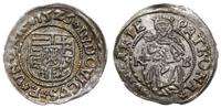 denar 1526 KB, Kremnica, Aw: Tarcza herbowa i na