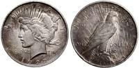 1 dolar 1922, Filadelfia, typ Peace, patyna