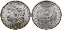 1 dolar 1901 O, Nowy Orlean, typ Morgan, srebro 