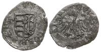 denar ok 1444 r., Aw: Z boków tarczy herbowej li