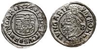 denar 1526 KB, Kremnica, Aw: Pięciopolowa tarcza