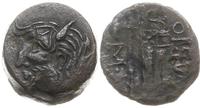 brąz 310 - 280 pne, Aw: Głowa Borystenesa (uosob