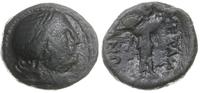 Grecja i posthellenistyczne, brąz, III - II w. pne