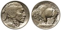 5 centów 1913, Filadelfia, typ Buffalo