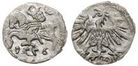 denar 1556, Wilno, szeroki ogon Orła, moneta z d